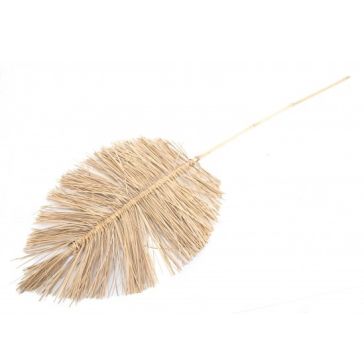 Boho zars, BL NAT