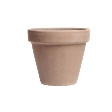 Māla pods Vulcano, 654019