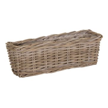 Grozs Evi, 128743