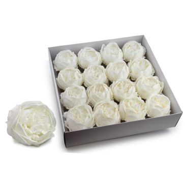 Mākslīgā peonijas galviņa, PEONY9-1