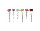 Artificial flower - Carnation, 2FV1244