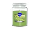 Scented candle in glass, SND9983