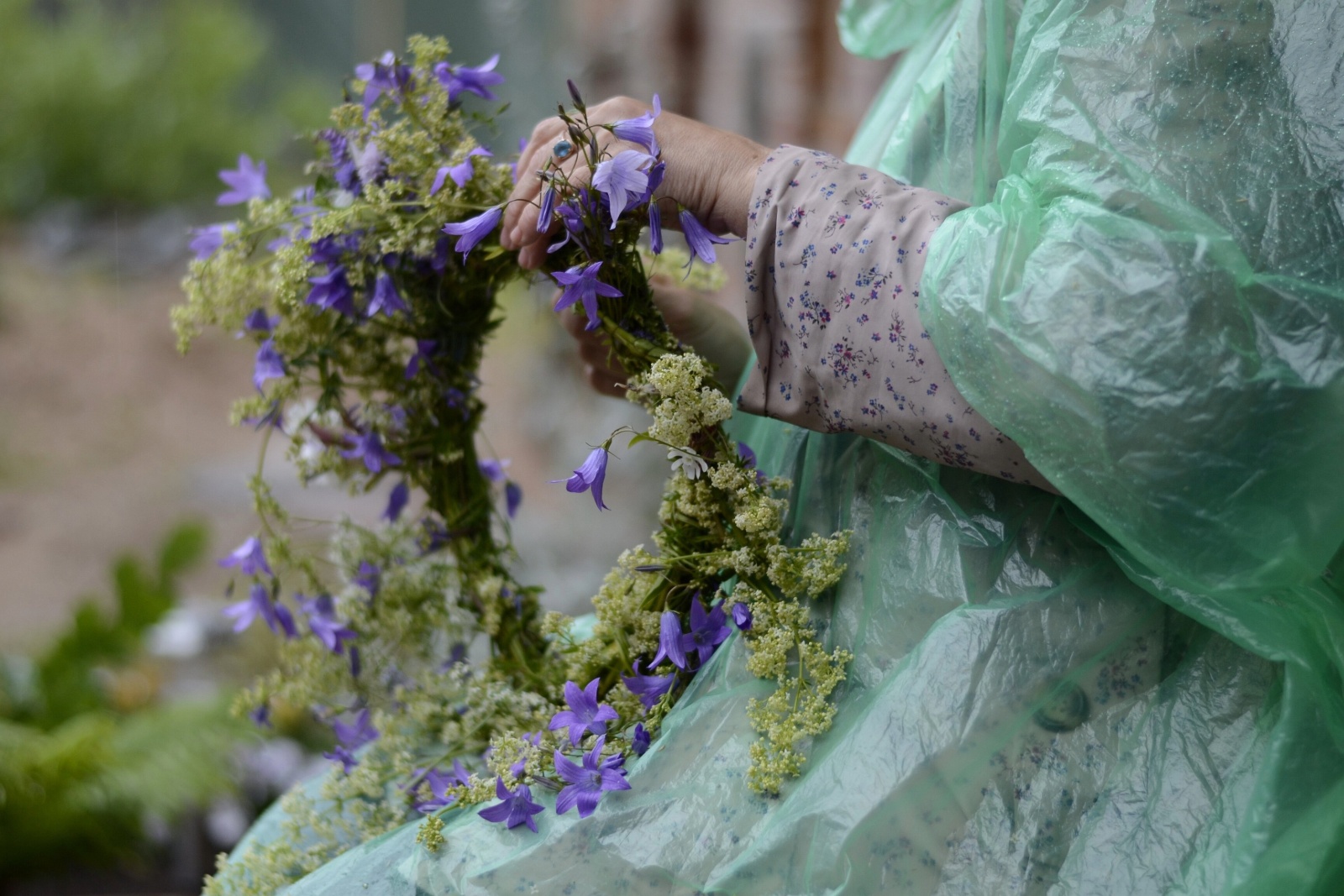Jāņu vainags ar ziliem zidiem